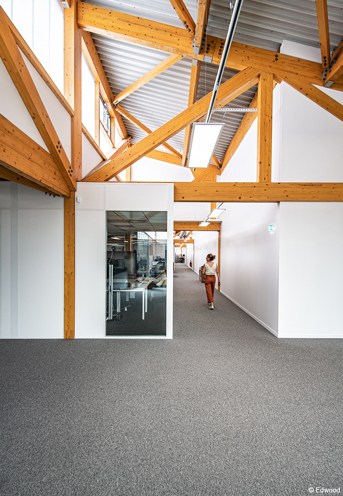 Extension immeuble de bureaux en bois avec structure en bois lamellé collé et planchers en CLT