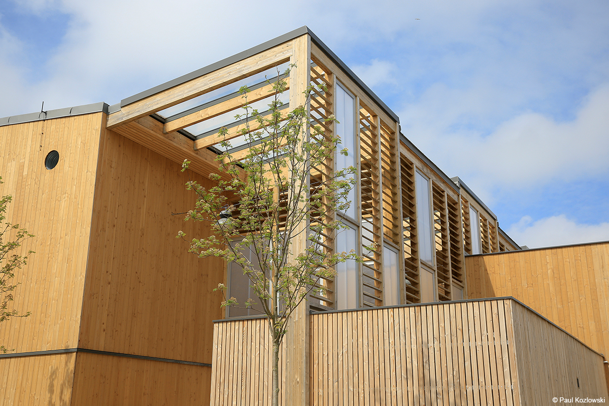 Logements participatifs en structure bois mixte charpente en bois lamellé planchers CLT et murs à ossature bois