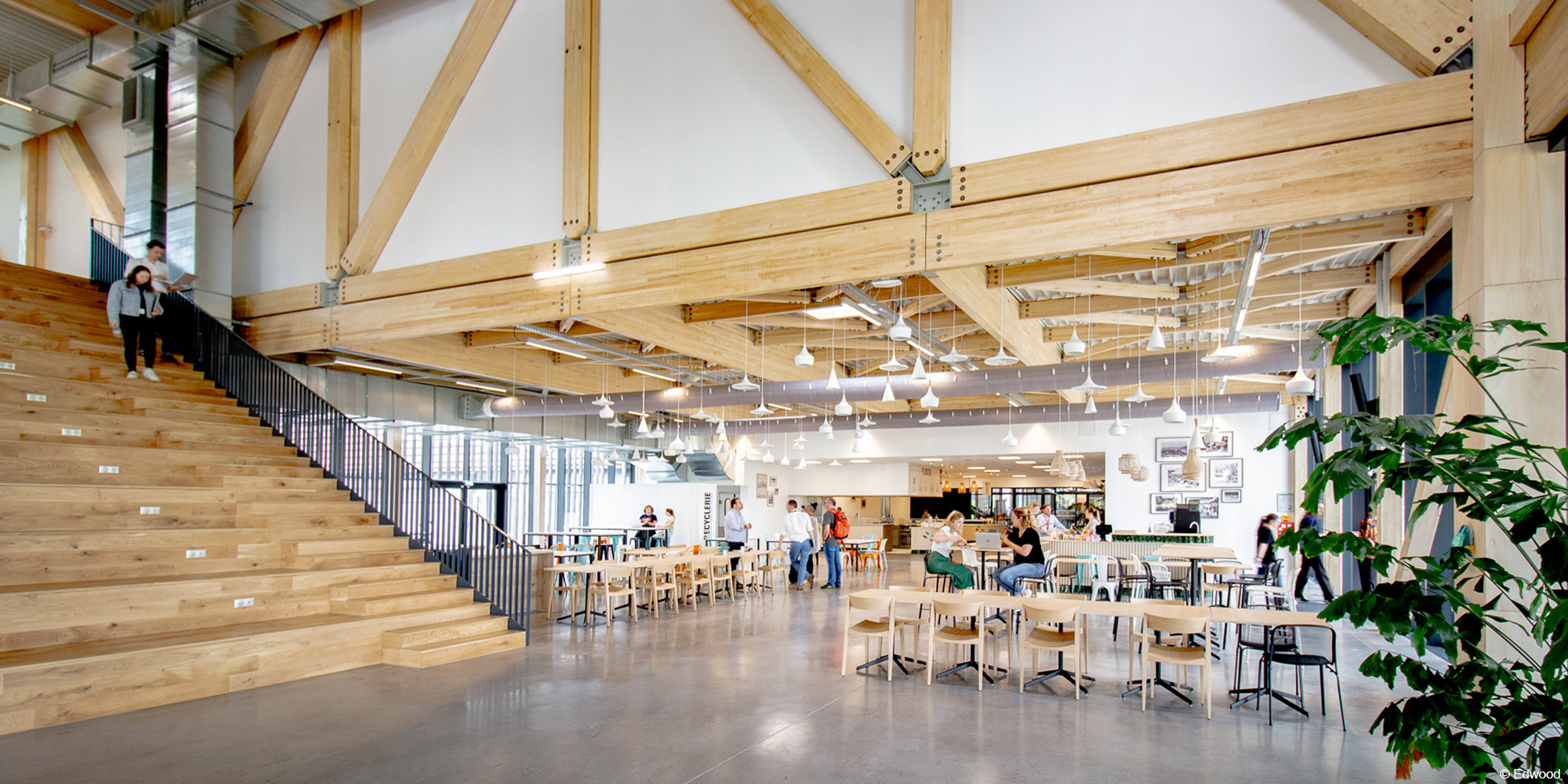 Extension immeuble de bureaux en bois avec structure en bois lamellé collé et planchers en CLT