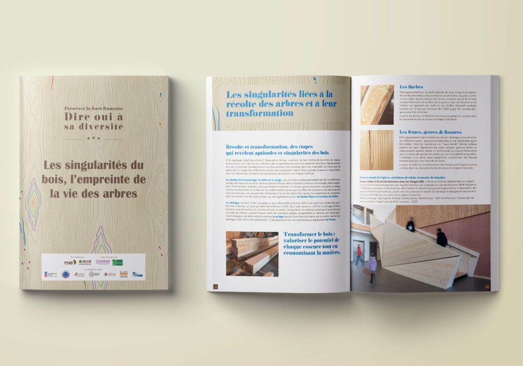 Préserver la forêt française : dire oui à sa diversité. Les singularités des bois, l'empreinte de la vie des arbres.