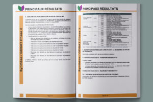 MODÉLISATION ACV DE LA GESTION DES DÉCHETS BOIS DE CLASSES BR1 ET BR2
